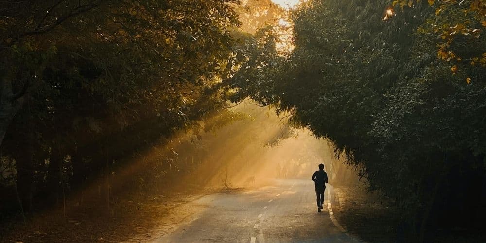 Path through nature